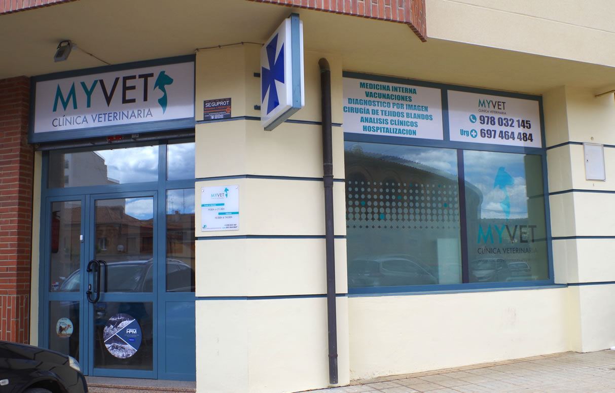 Clínica veterinaria Clinica Veterinaria MyVet