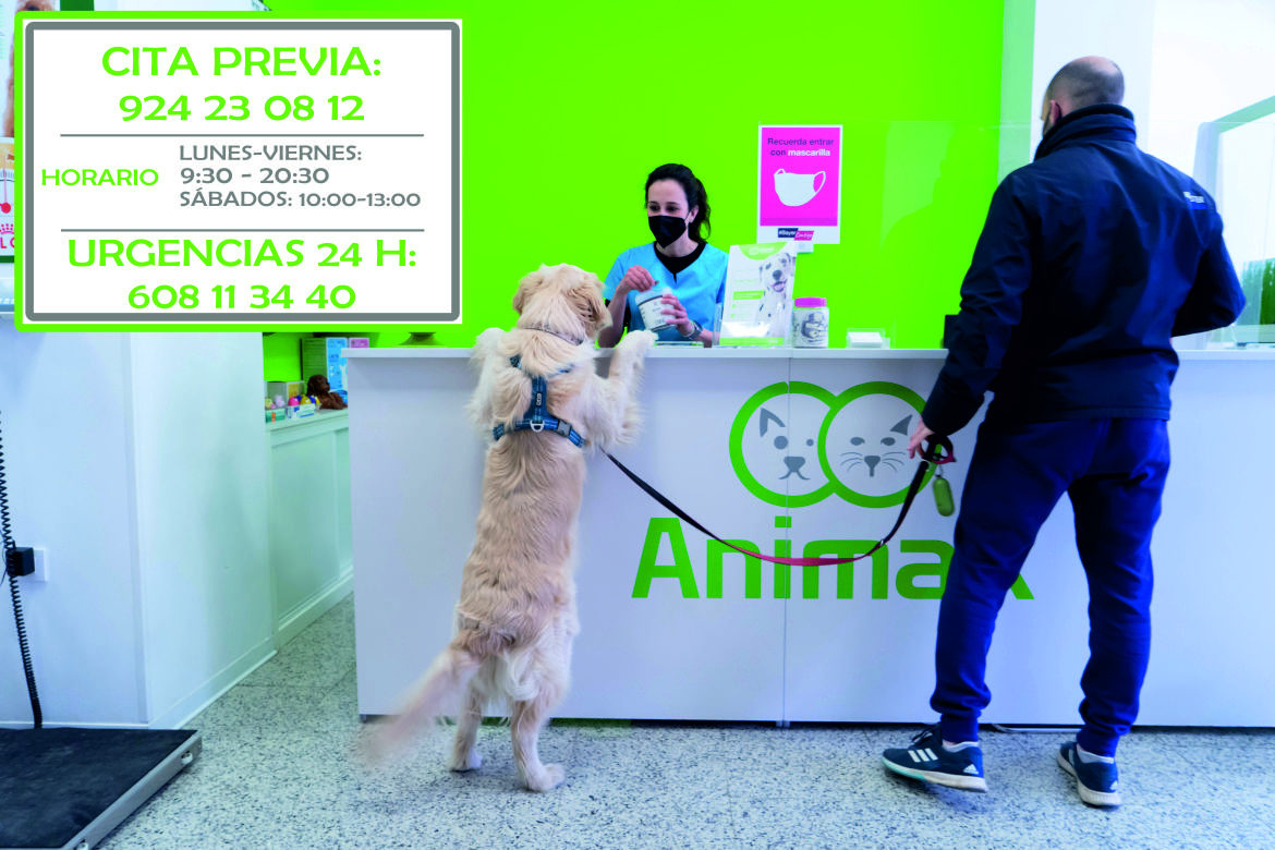 Clínica veterinaria ANIMAX Clínica Veterinaria