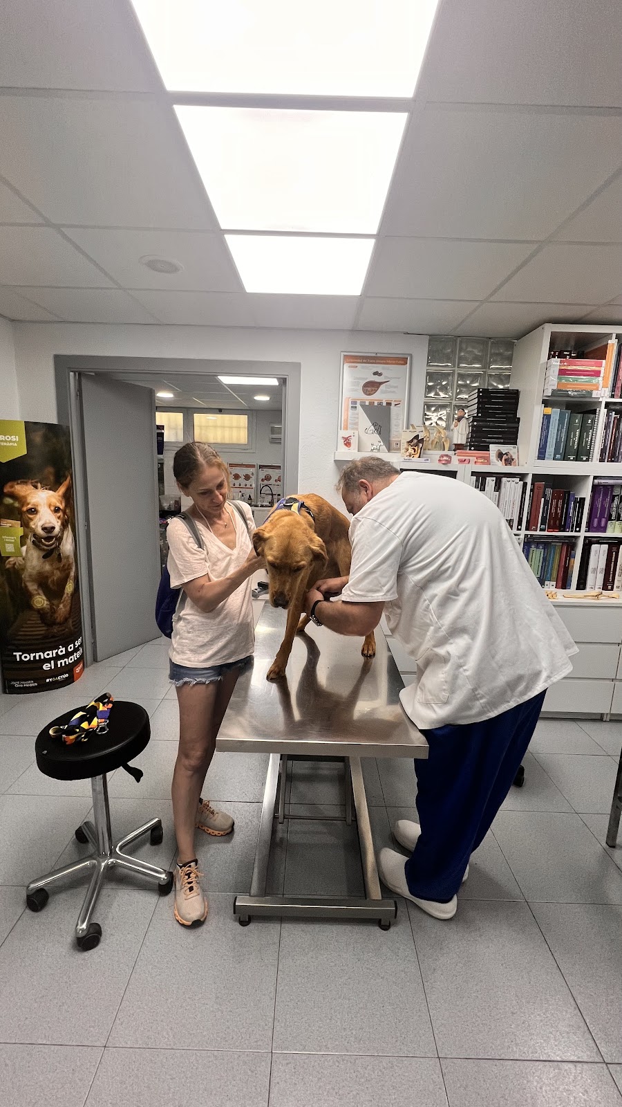 Clínica veterinaria AMS VETERINÀRIA