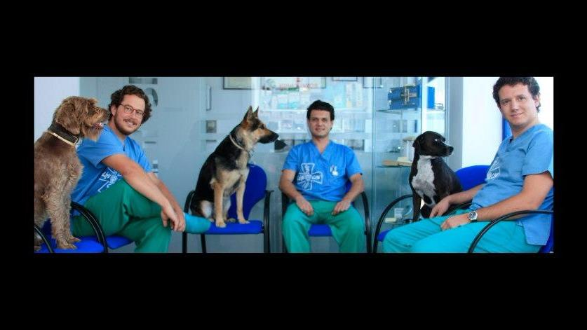Clínica veterinaria Clínica Veterinaria Clinican