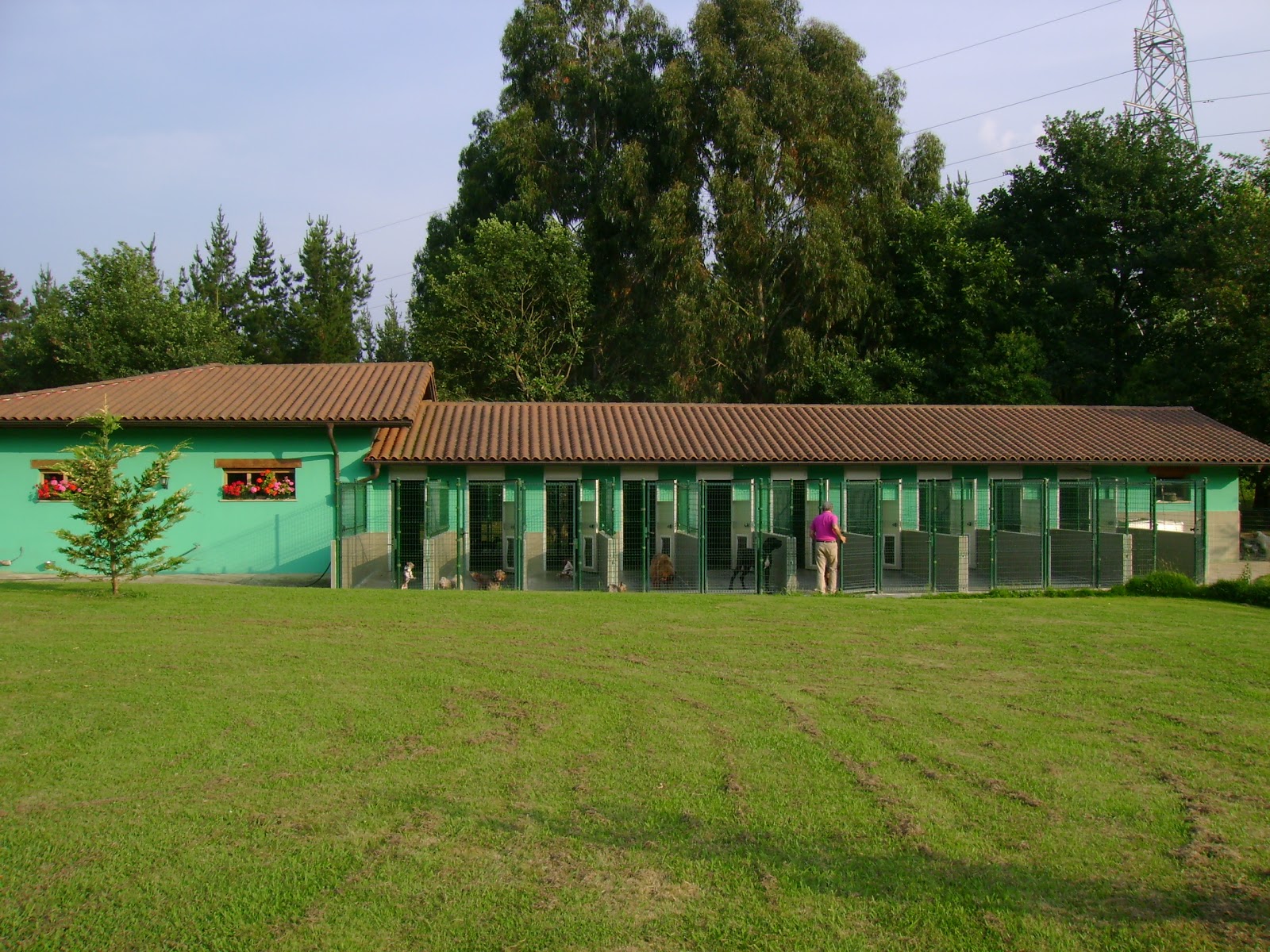 Clínica veterinaria Centro clínico veterinario del Duranguesado