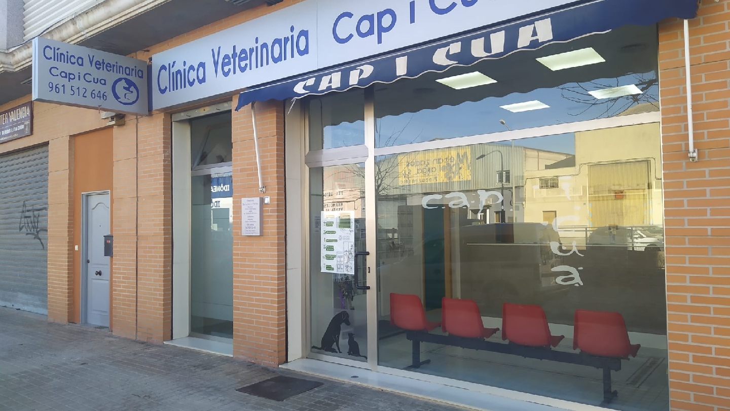 Clínica veterinaria CLÍNICA VETERINARIA CAP I CUA