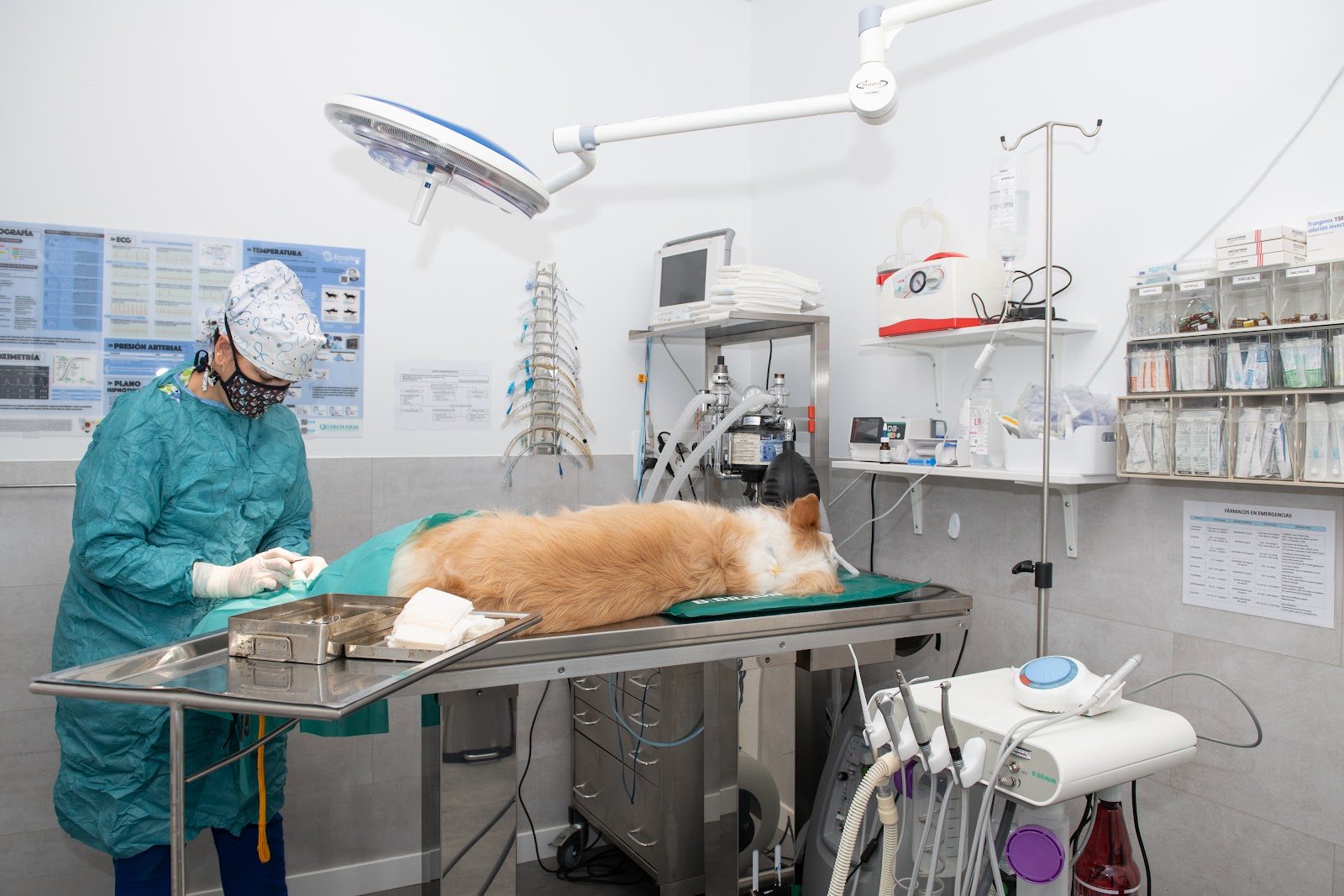 Clínica veterinaria Centro Veterinario API
