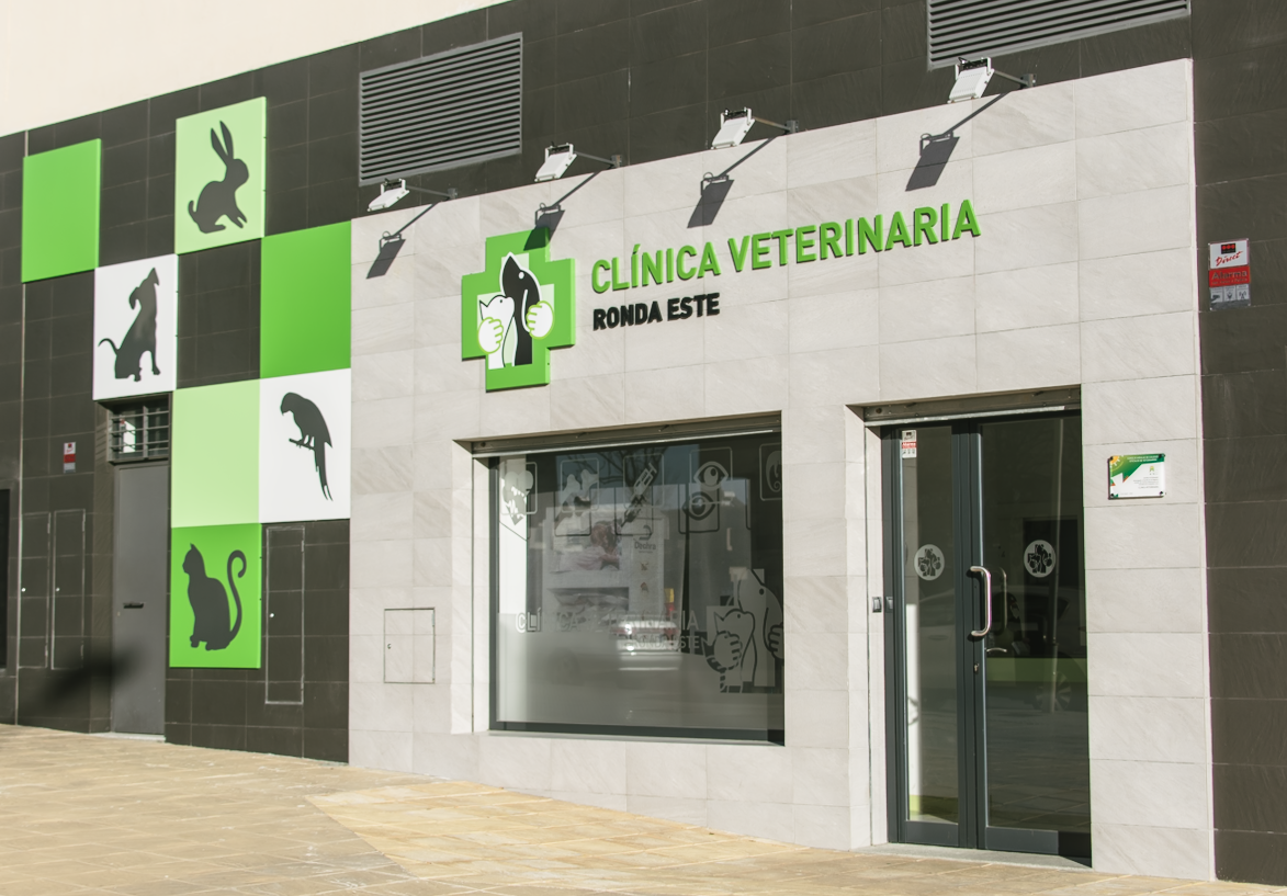 Clínica veterinaria Clínica Veterinaria Ronda Este