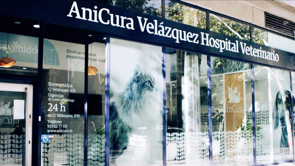 Clínica veterinaria AniCura Velázquez Hospital Veterinario