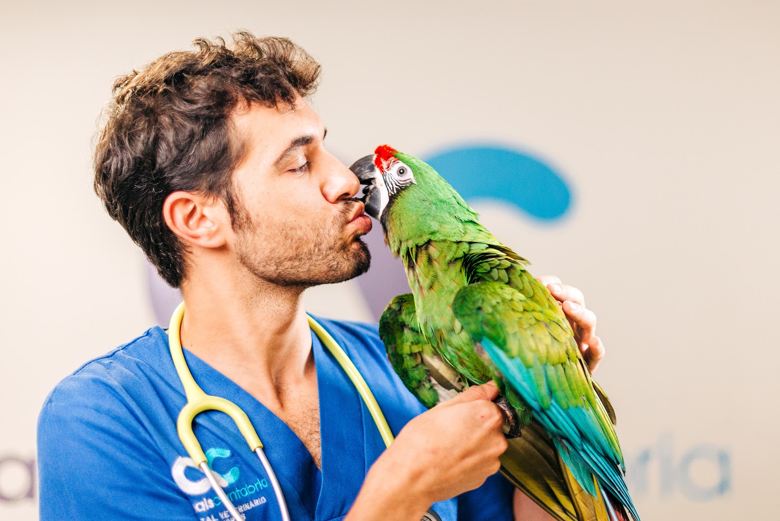 Clínica veterinaria Animals Cantabria-Hospital Veterinario 24 Horas