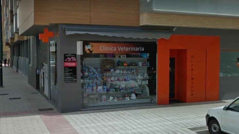 Clínica veterinaria Clínica Veterinaria Miralbueno