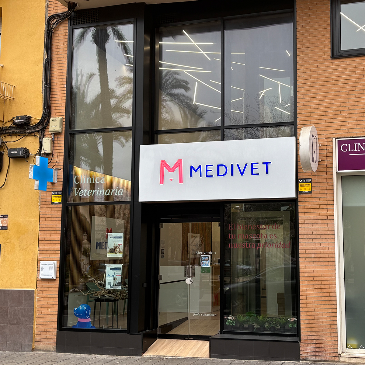 Clínica veterinaria Medivet Clínica Veterinaria San Carlos