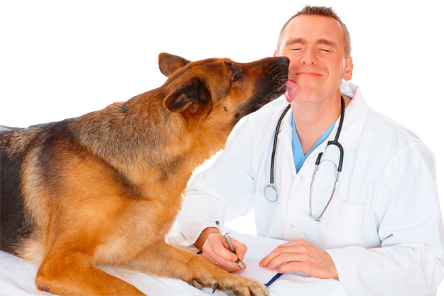 Clínica veterinaria Servicios Veterinarios a Domicilio