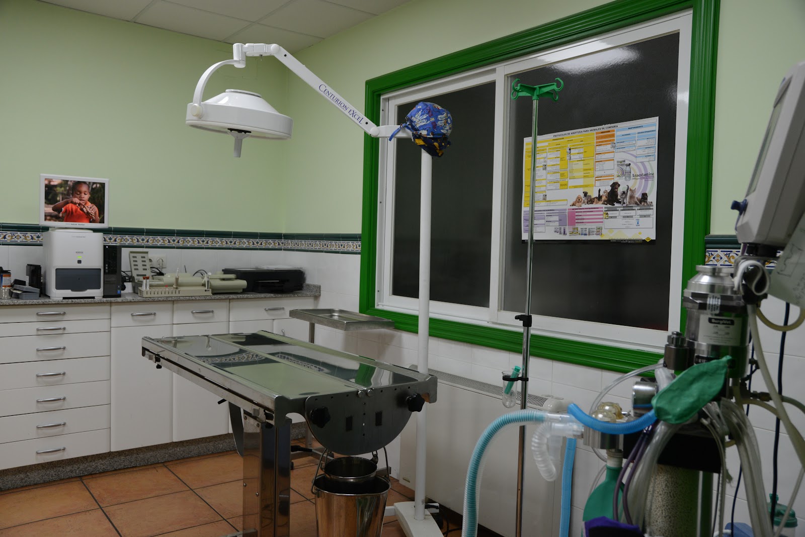 Clínica veterinaria Centro Veterinario Don Guau