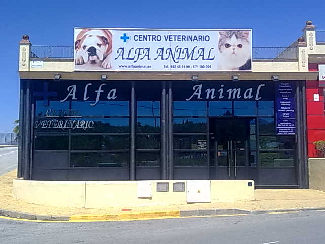 Clínica veterinaria ALFA VETERINARIOS COIN