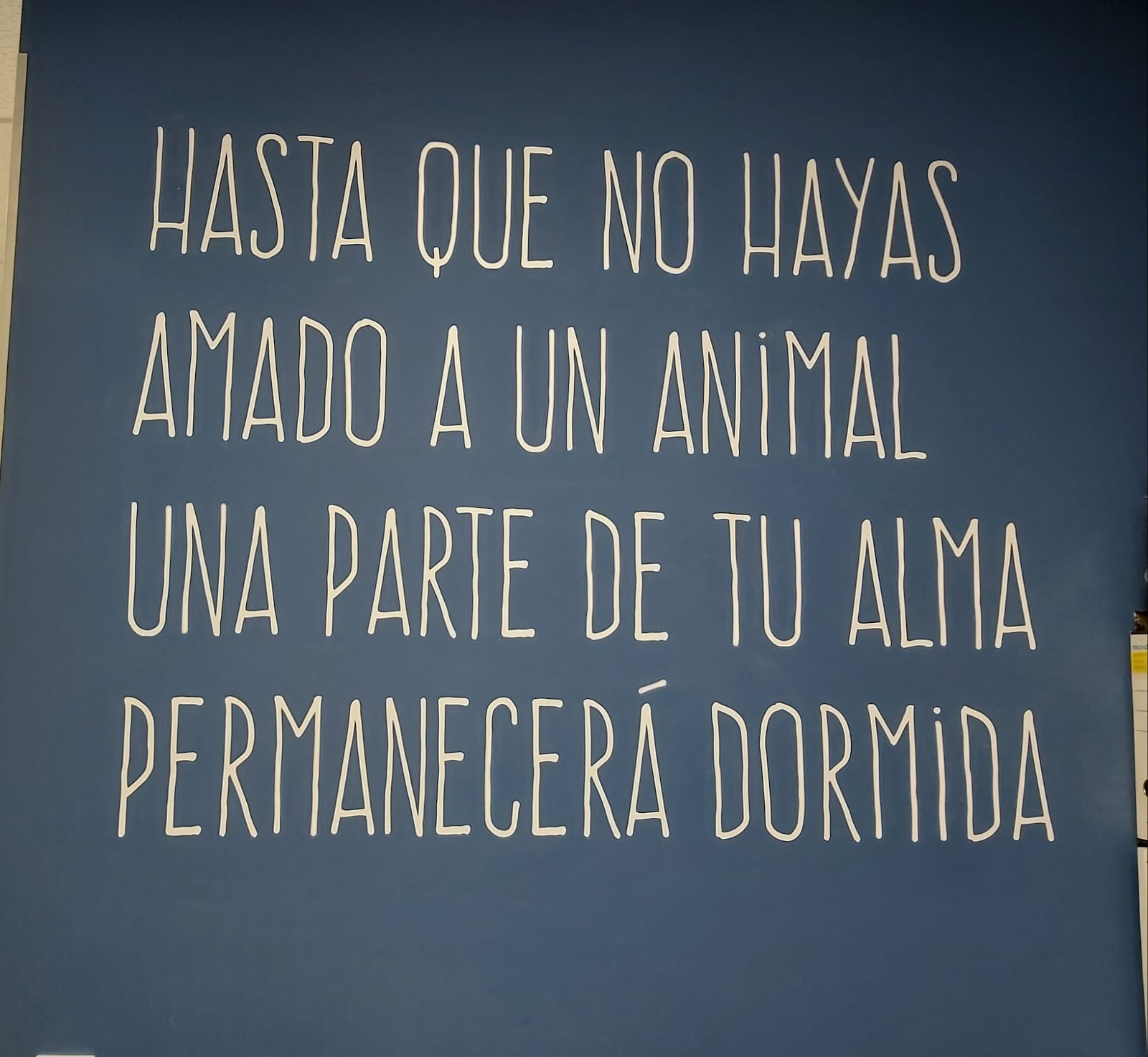 Clínica veterinaria Clinica veterinaria Sam