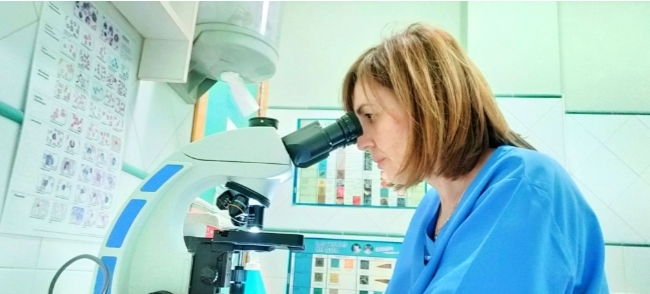 Clínica veterinaria Clínica Albeítar