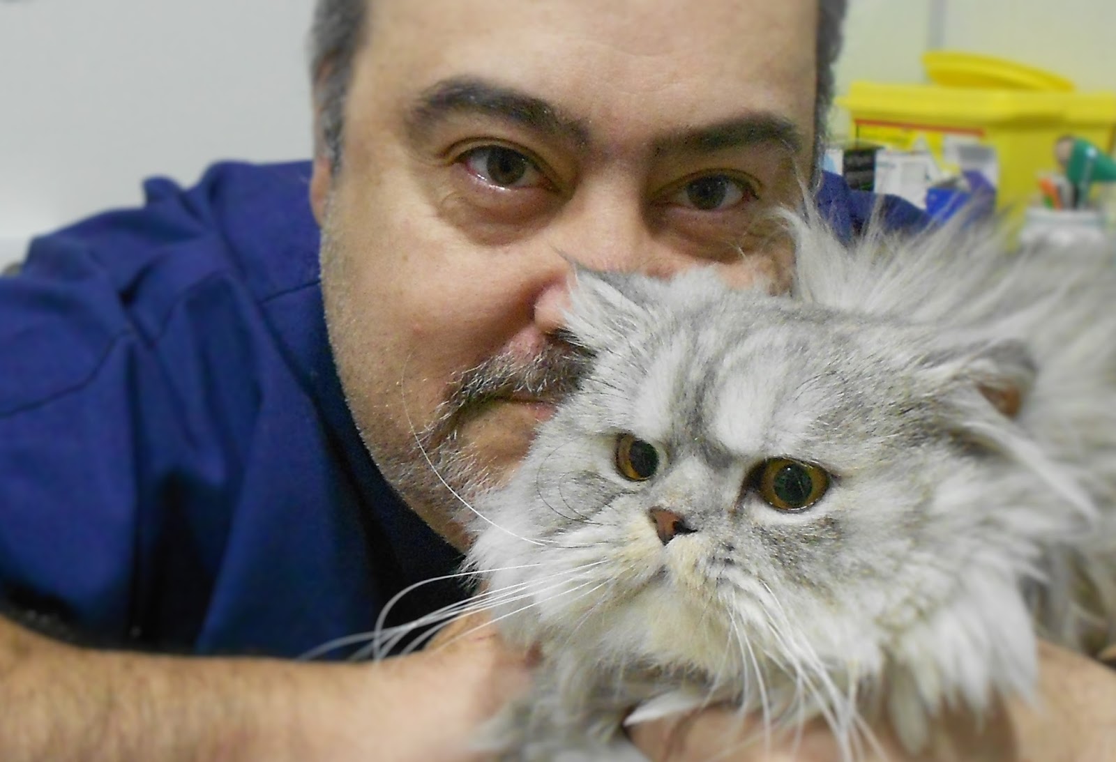 Clínica veterinaria Clínica Veterinaria Nova Albeitería