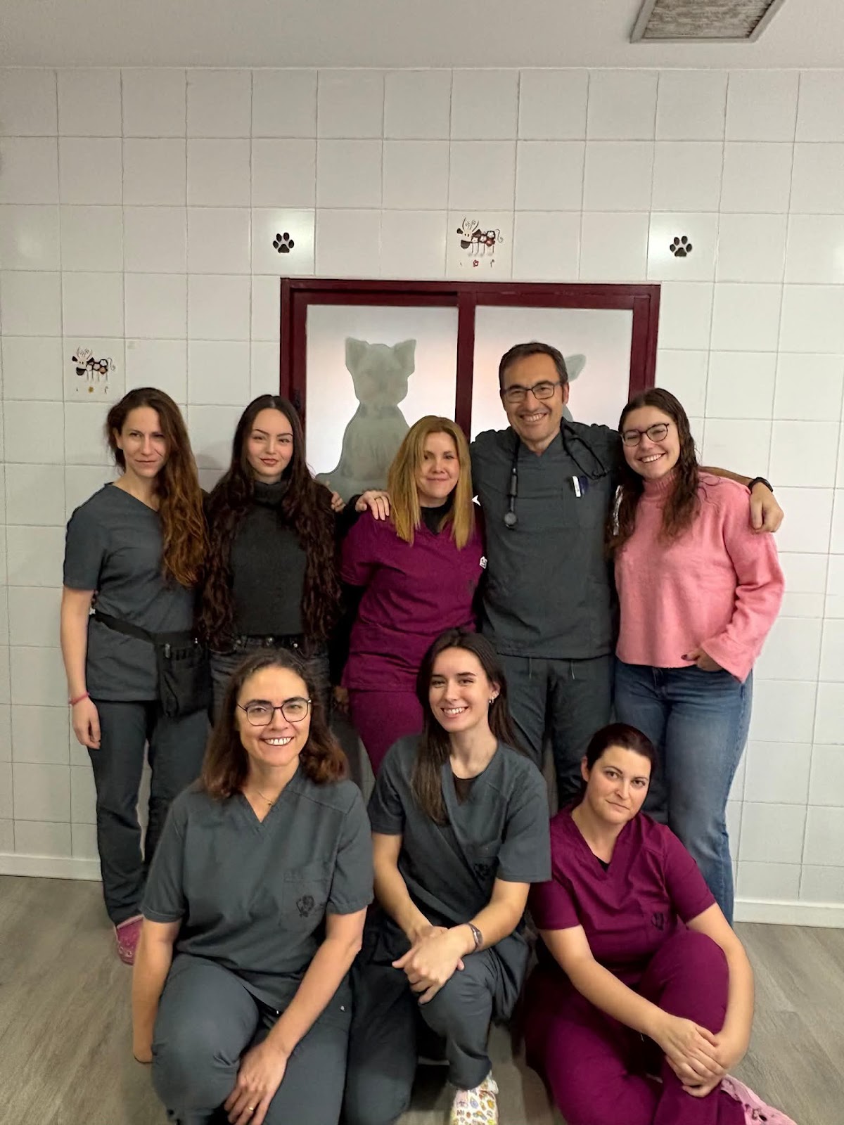 Clínica veterinaria Clínica Veterinaria San Antón