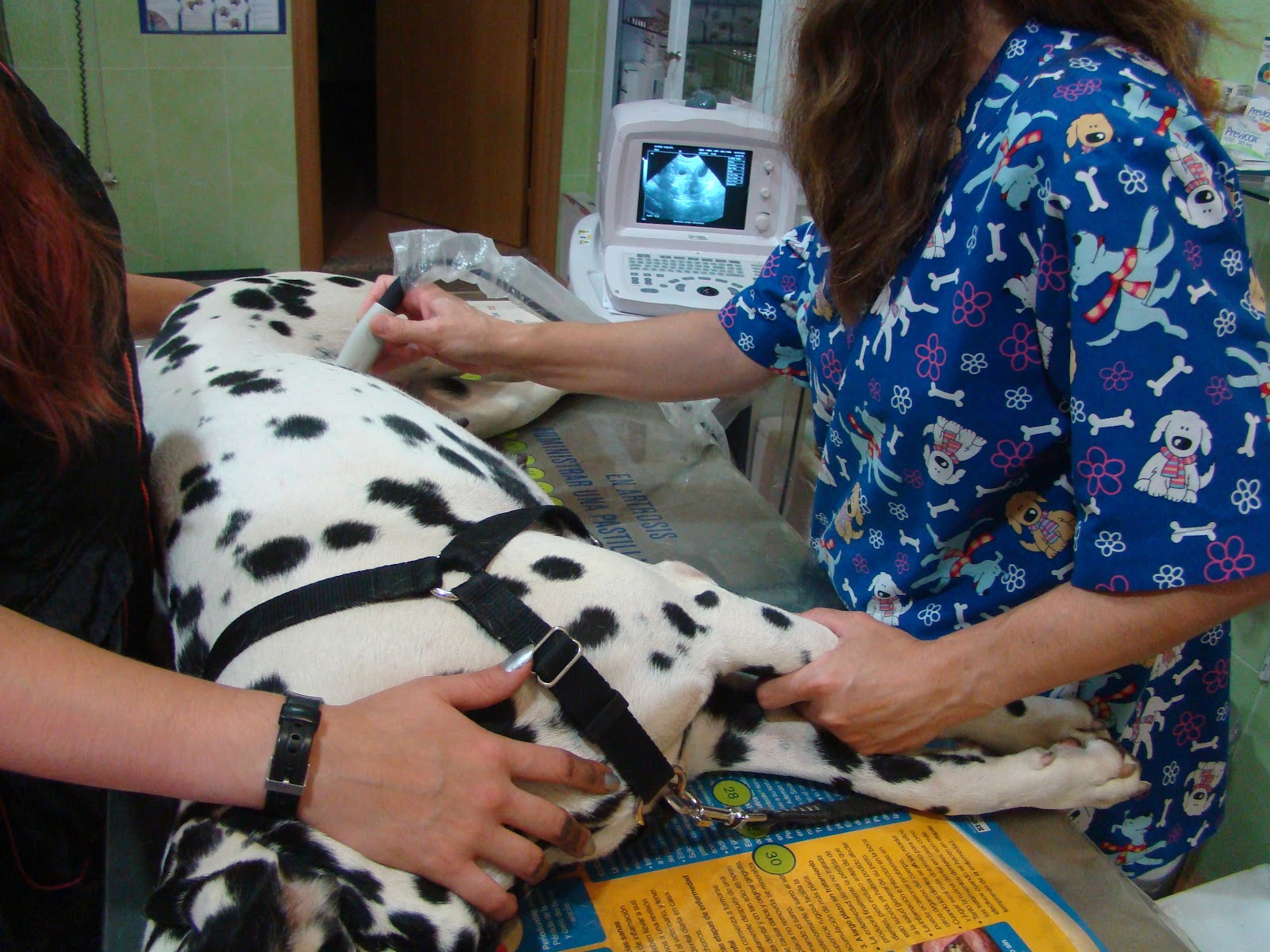 Clínica veterinaria Clínica Veterinaria Cliveal