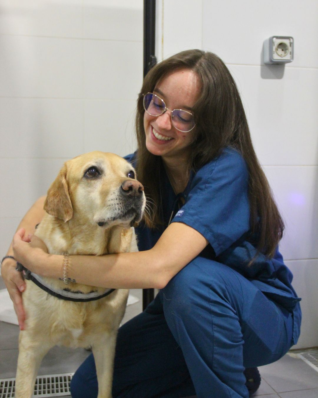 Clínica veterinaria Hospital Veterinario Madrid Norte