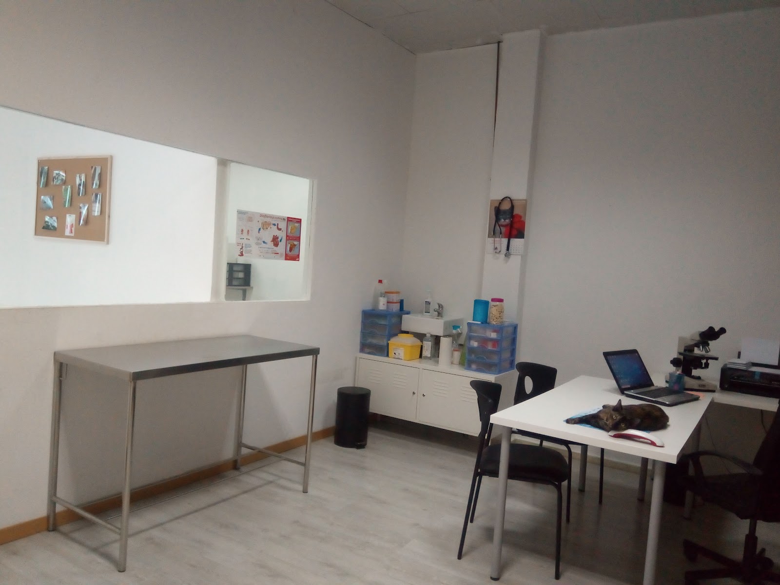 Clínica veterinaria Centro Veterinario Córdoba