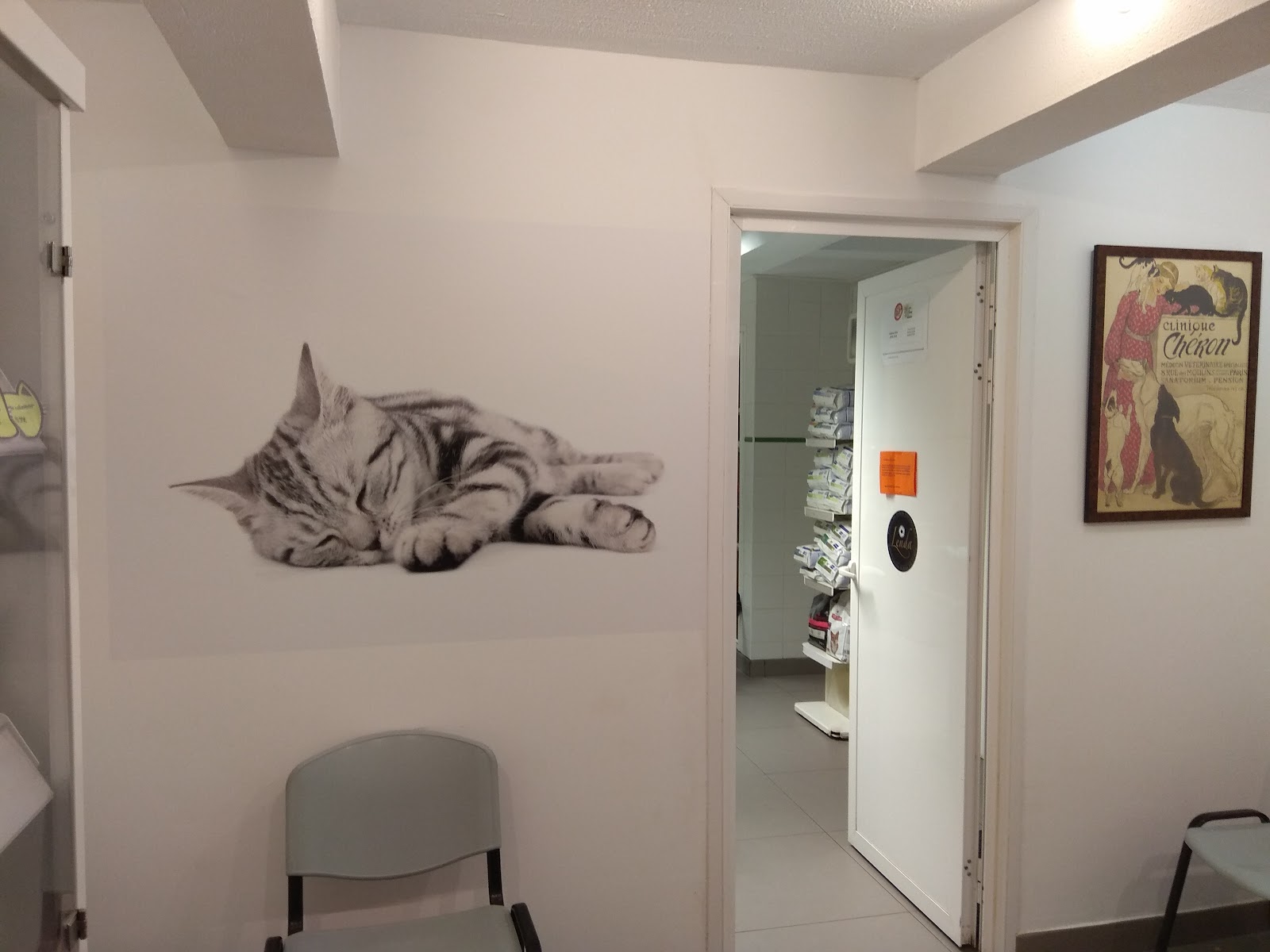 Clínica veterinaria Clínica Veterinaria La Castellana