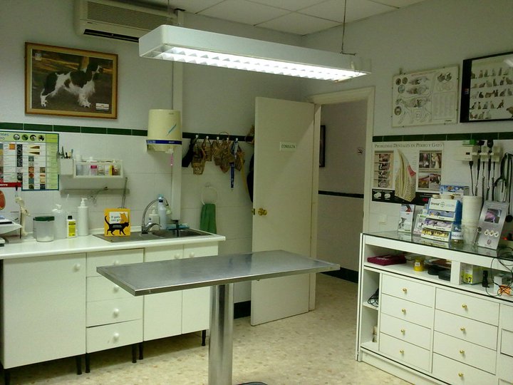 Clínica veterinaria Clínica Veterinaria Andalucía