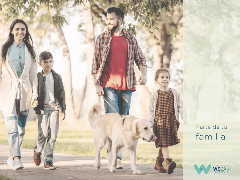 Clínica veterinaria Clínica Veterinaria WECAN Segovia