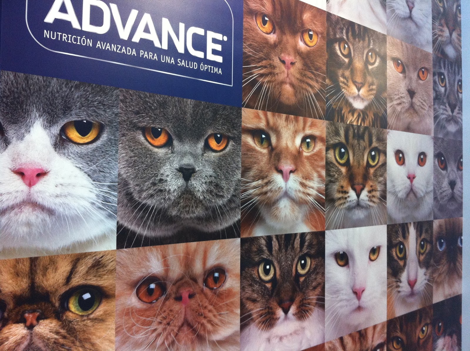 Clínica veterinaria Clínica Veterinaria Zaragoza