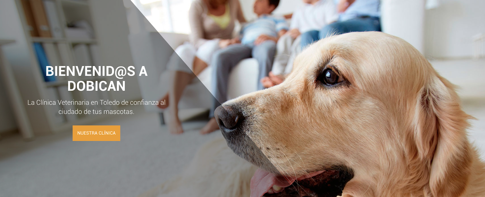 Clínica veterinaria Dobican - Centro Veterinario en Toledo