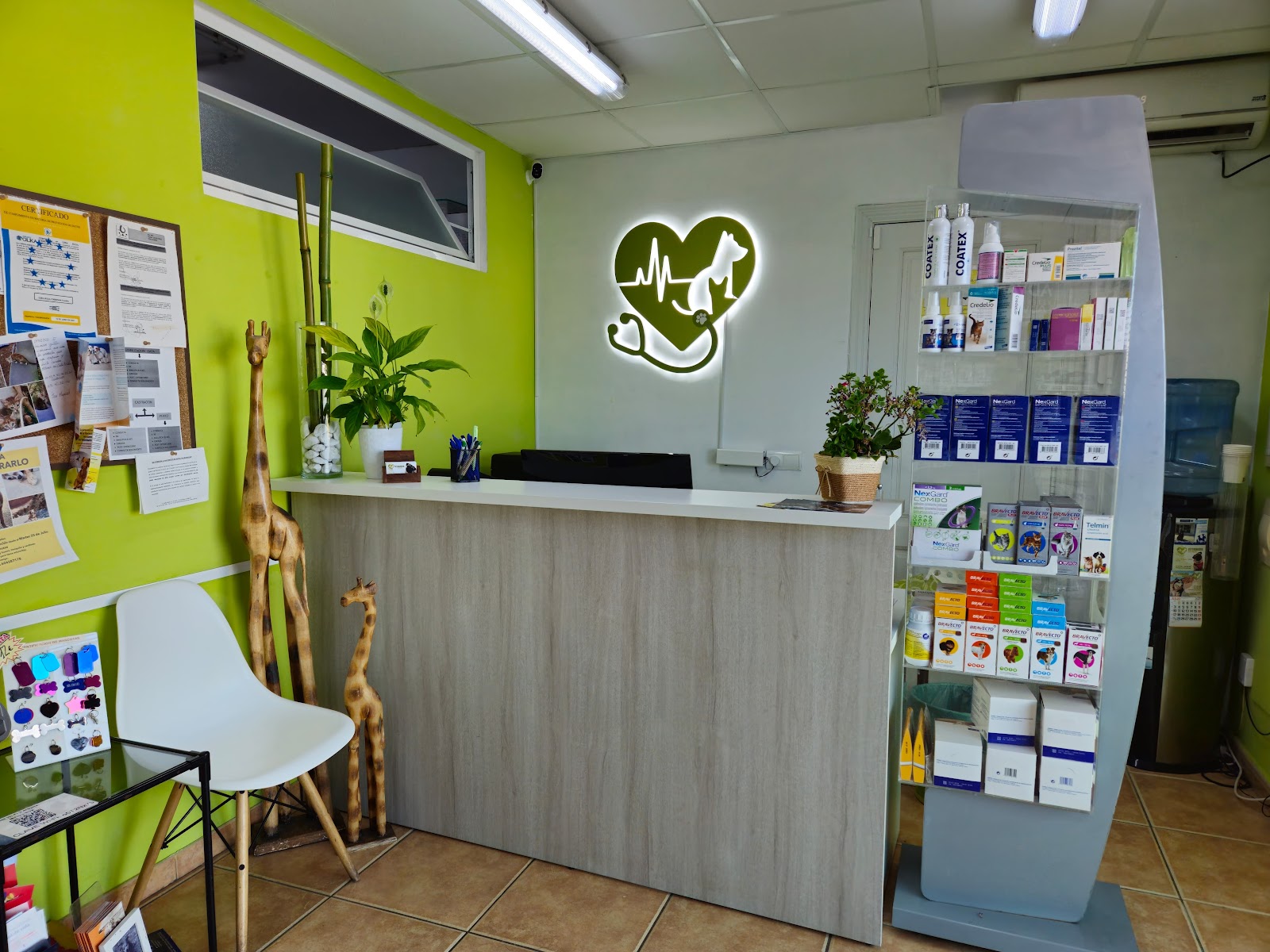 Clínica veterinaria Clínica Veterinaria Ses Païses - Eivissa