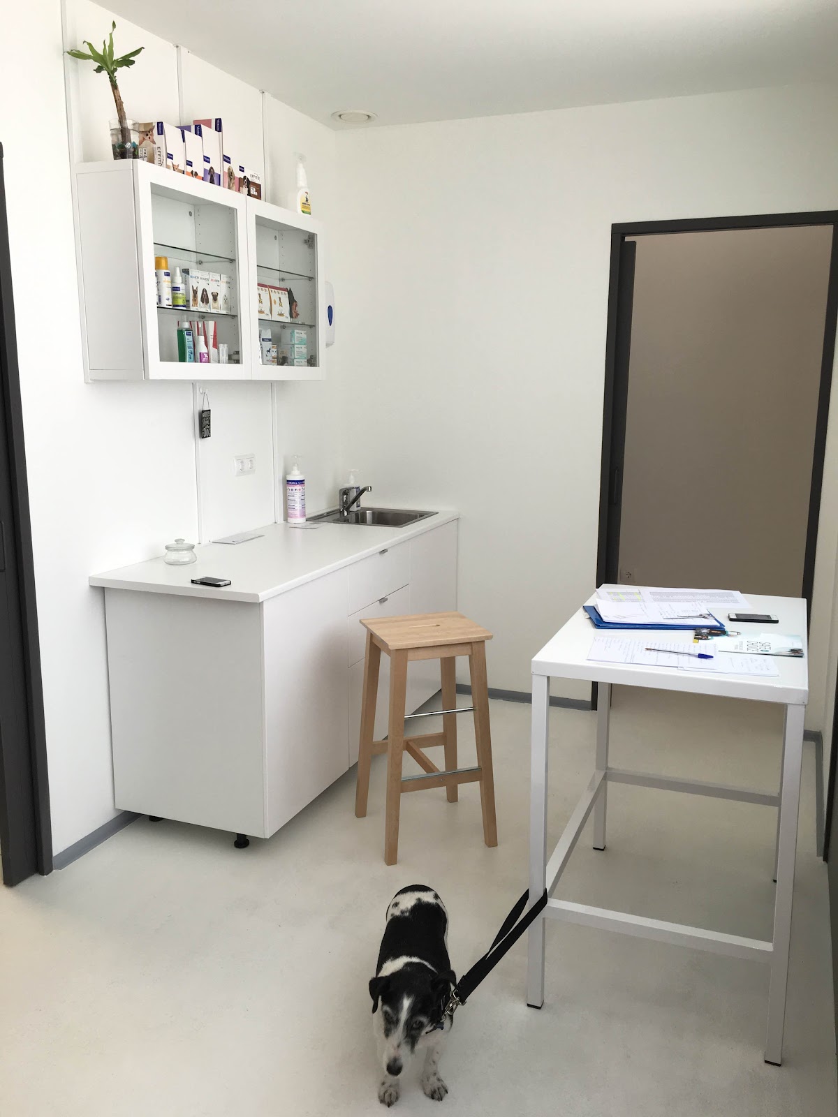 Clínica veterinaria Club Veterinario Salamanca