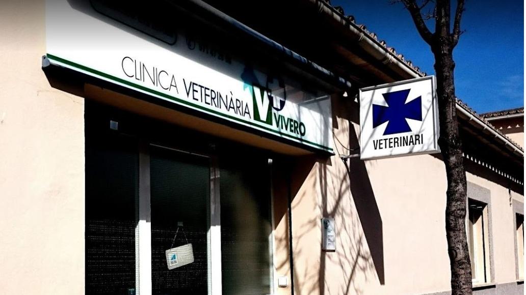 Clínica veterinaria Clínica Veterinaria Vivero