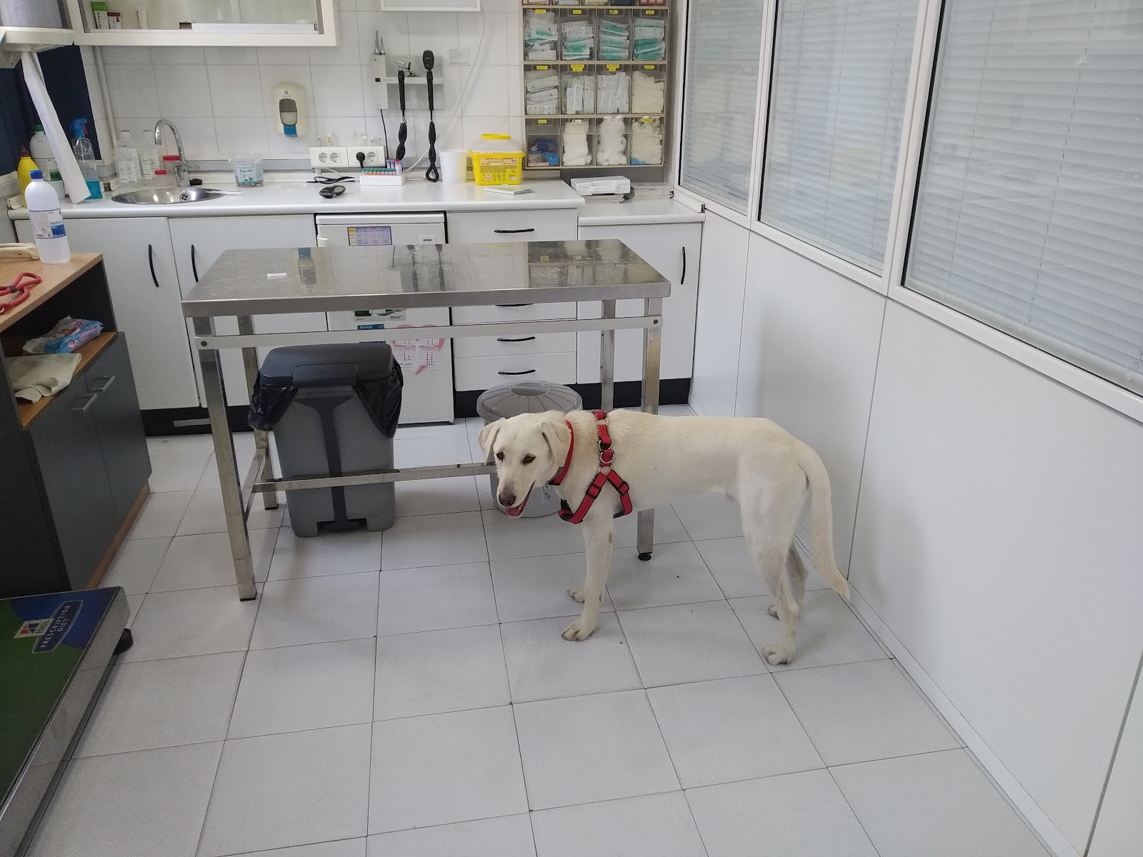 Clínica veterinaria Hospital Veterinari Martorell