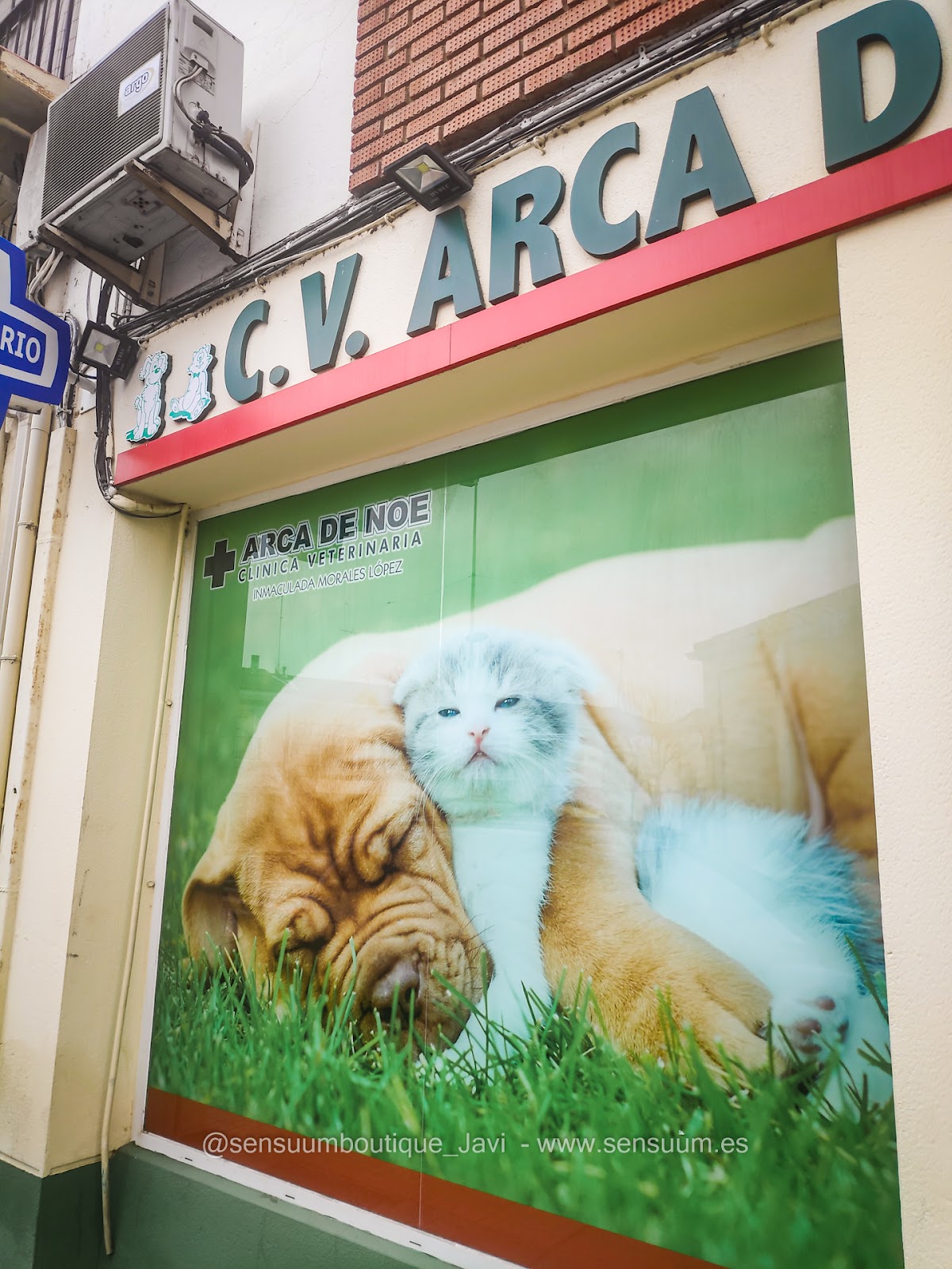 Clínica veterinaria Arca de Noé Clínica Veterinaria