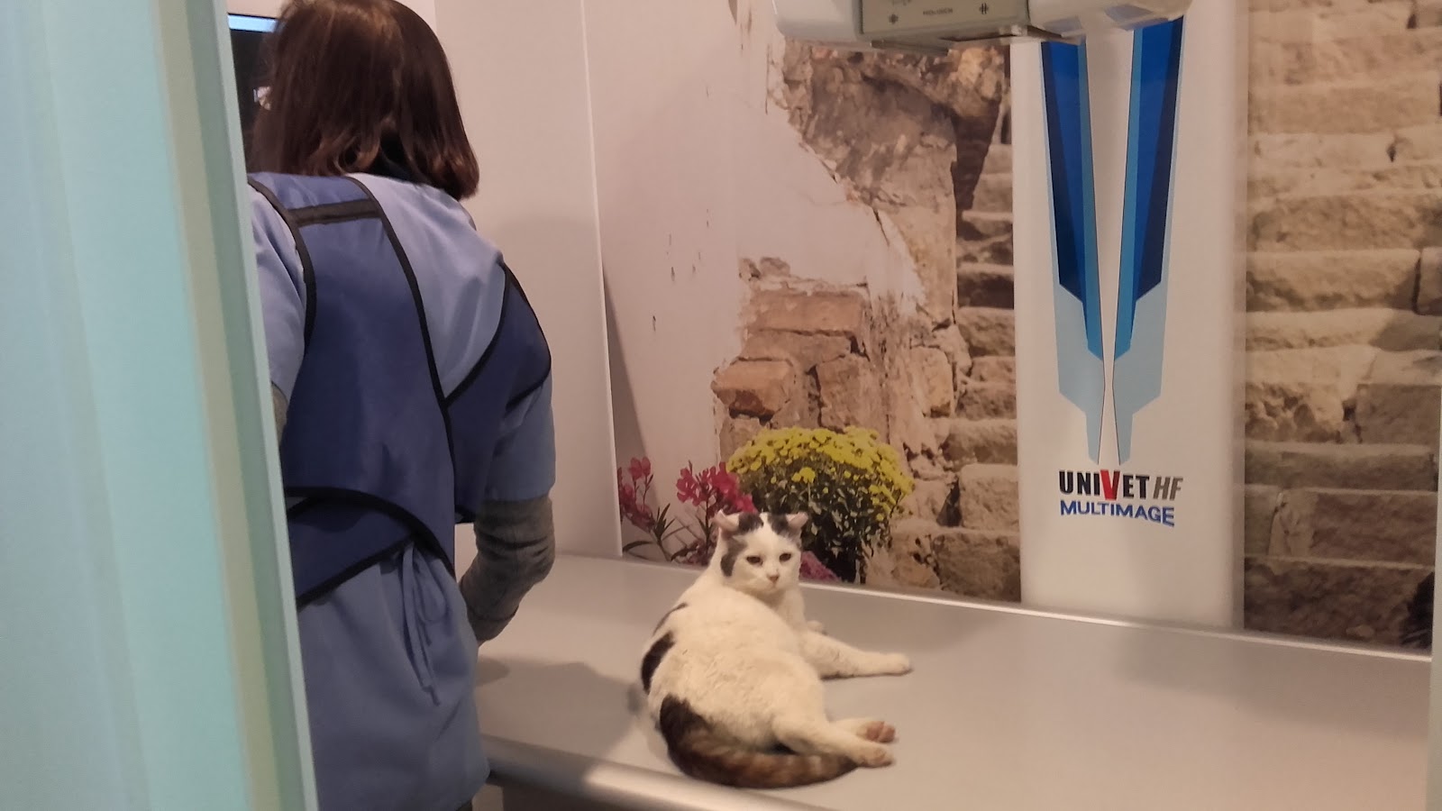 Clínica veterinaria Clínica Veterinaria Pirineos