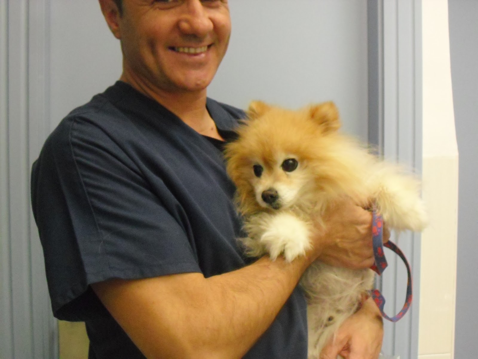Clínica veterinaria Clínica Veterinaria Vetagro