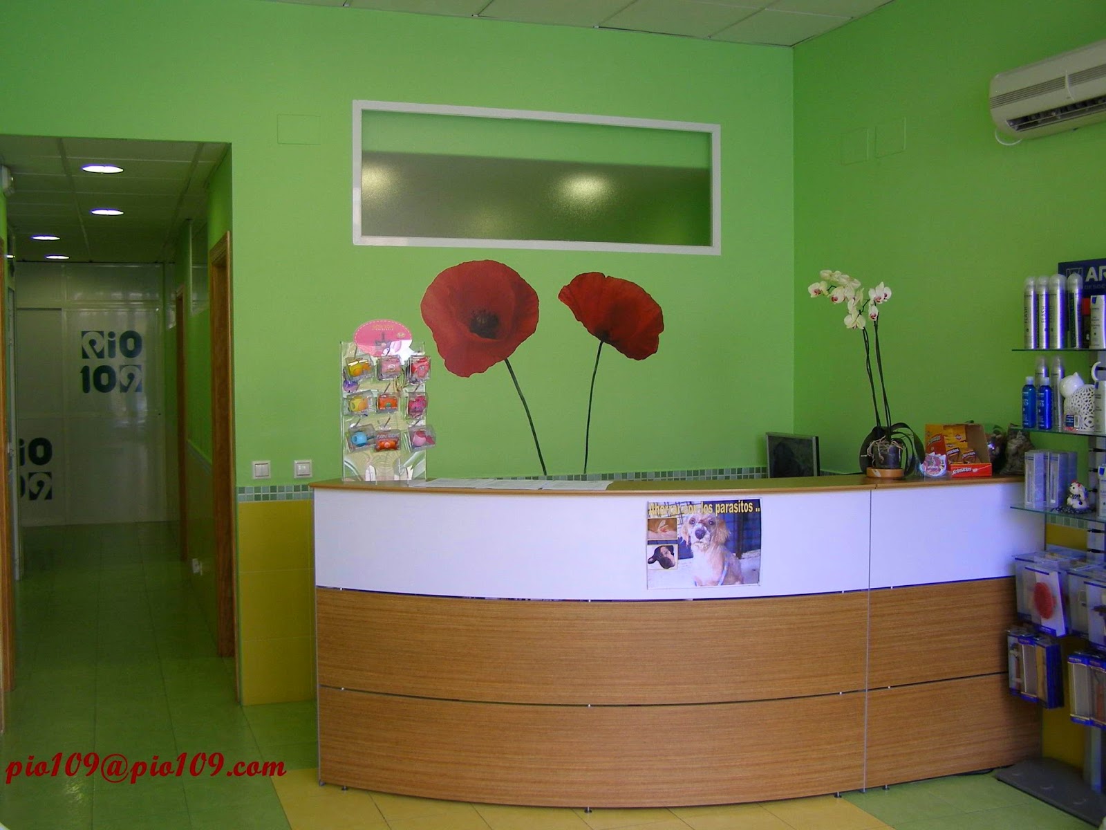 Clínica veterinaria Veterinary Medical Center Pio 109