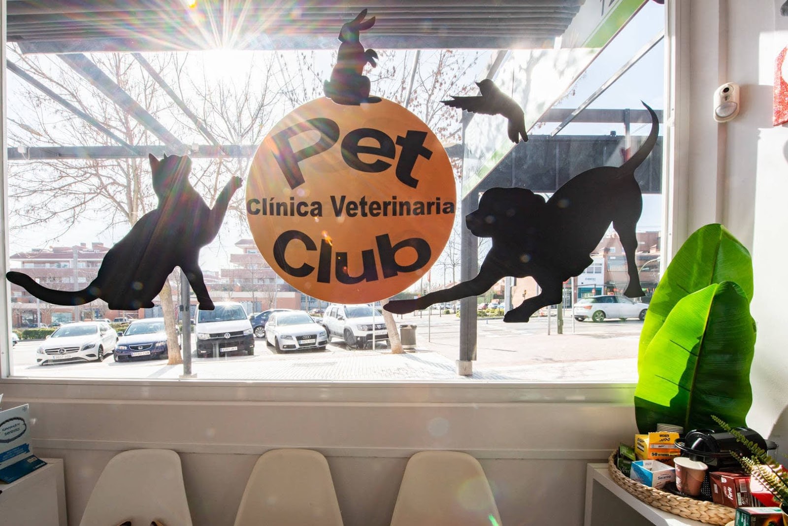 Clínica veterinaria Clínica Veterinaria Petclub