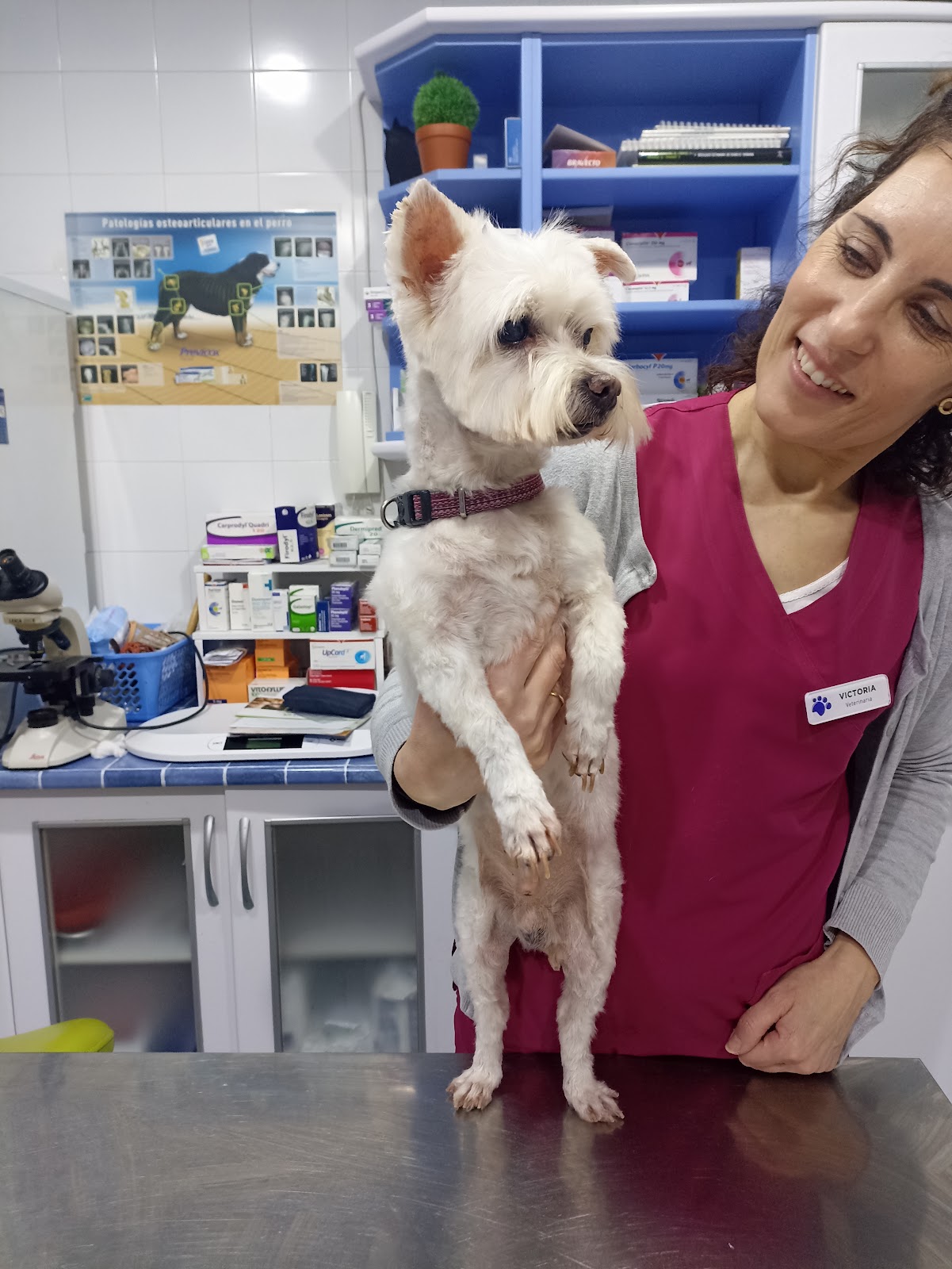 Clínica veterinaria Huellas Clinica Veterinaria