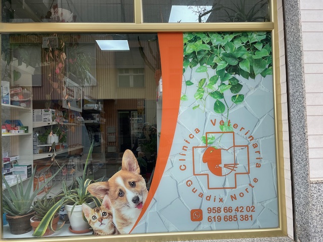 Clínica veterinaria Clínica veterinaria Guadix Norte