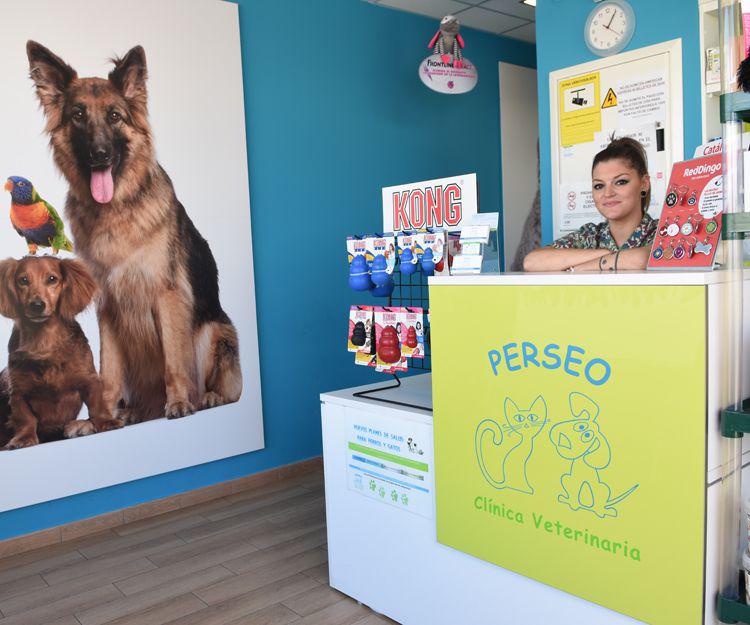 Clínica veterinaria Clínica Veterinaria Perseo Móstoles