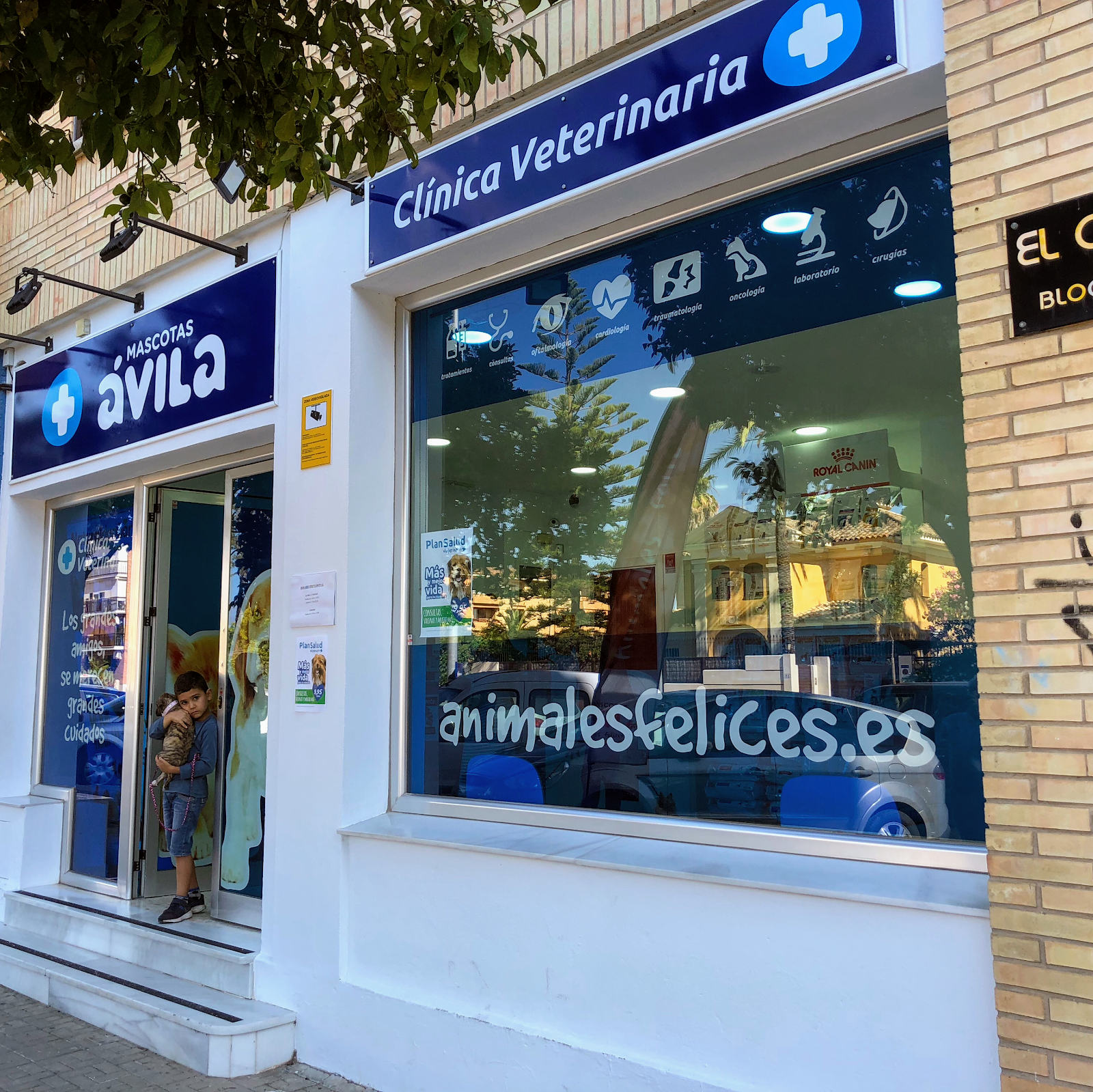 Clínica veterinaria Clínica Veterinaria Ávila Jerez - El Cuco
