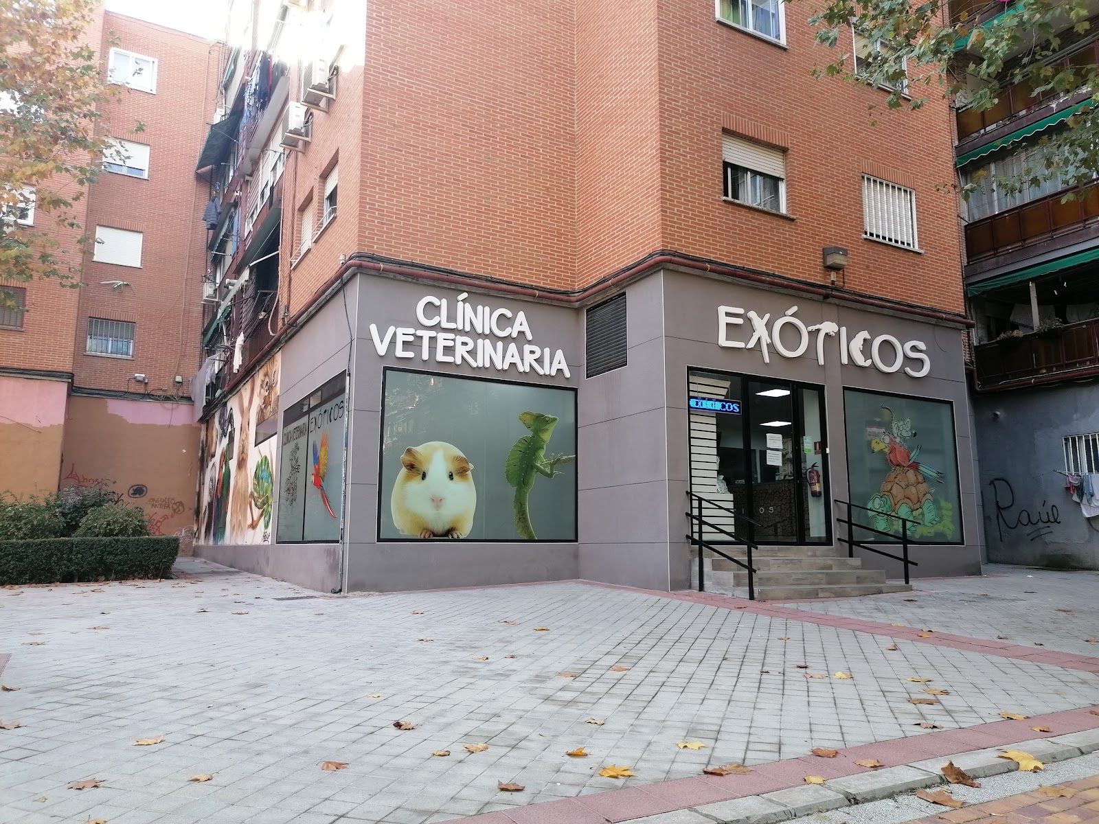 Clínica veterinaria Clínica Veterinaria Exóticos