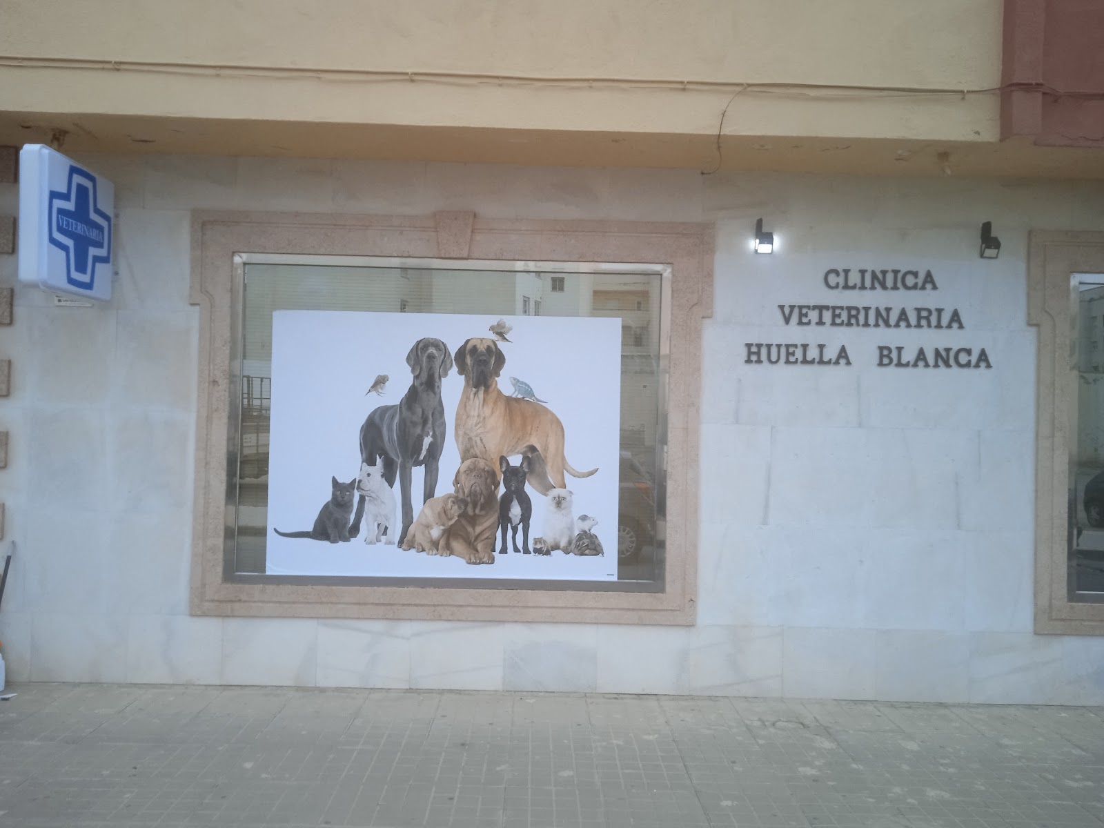 Clínica veterinaria Clínica Veterinaria Huella Blanca