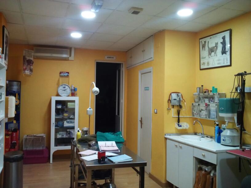 Clínica veterinaria Clínica Veterinaria San Sebastian