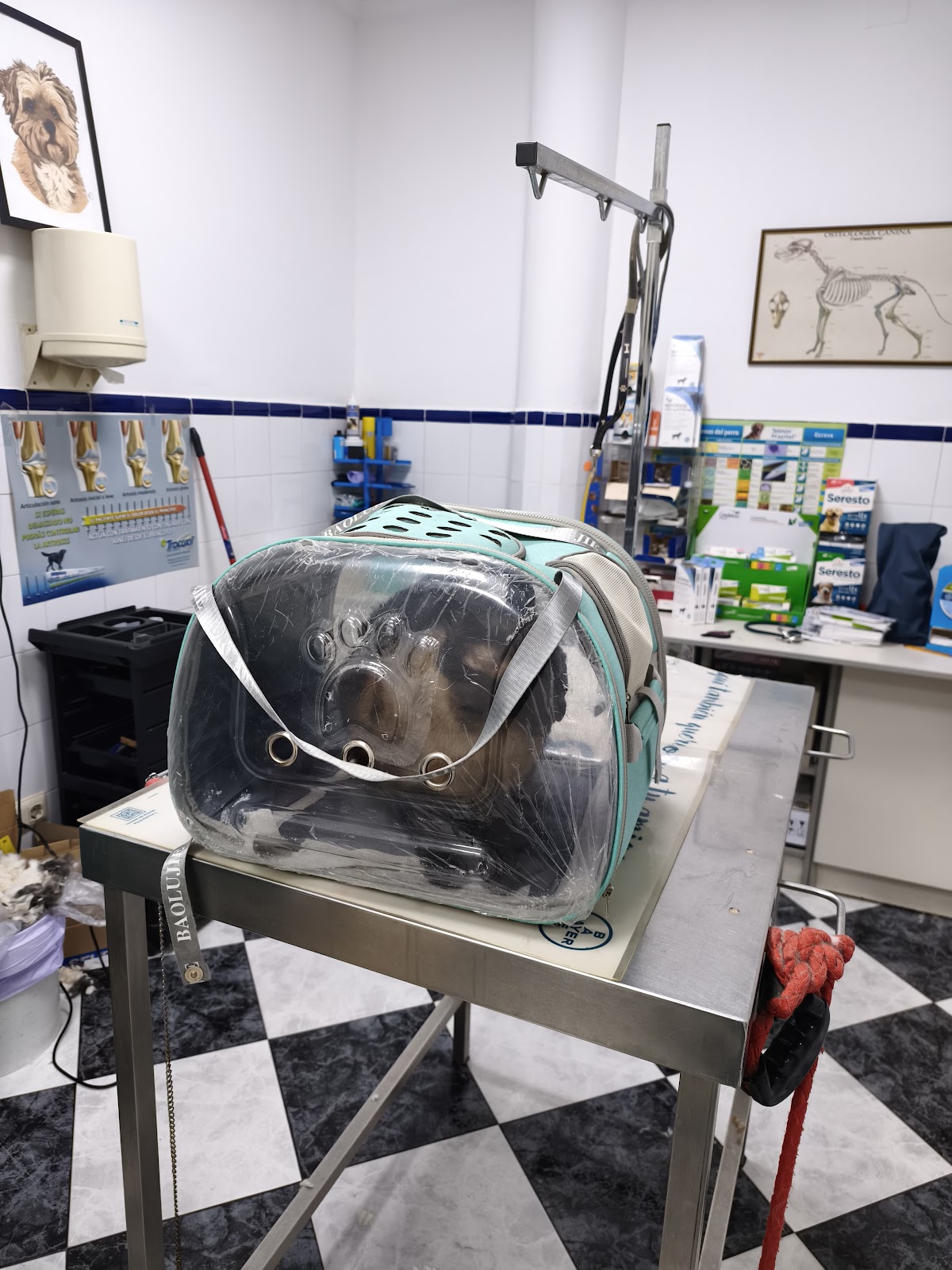 Clínica veterinaria Clinica Veterinaria Antonio Bravo