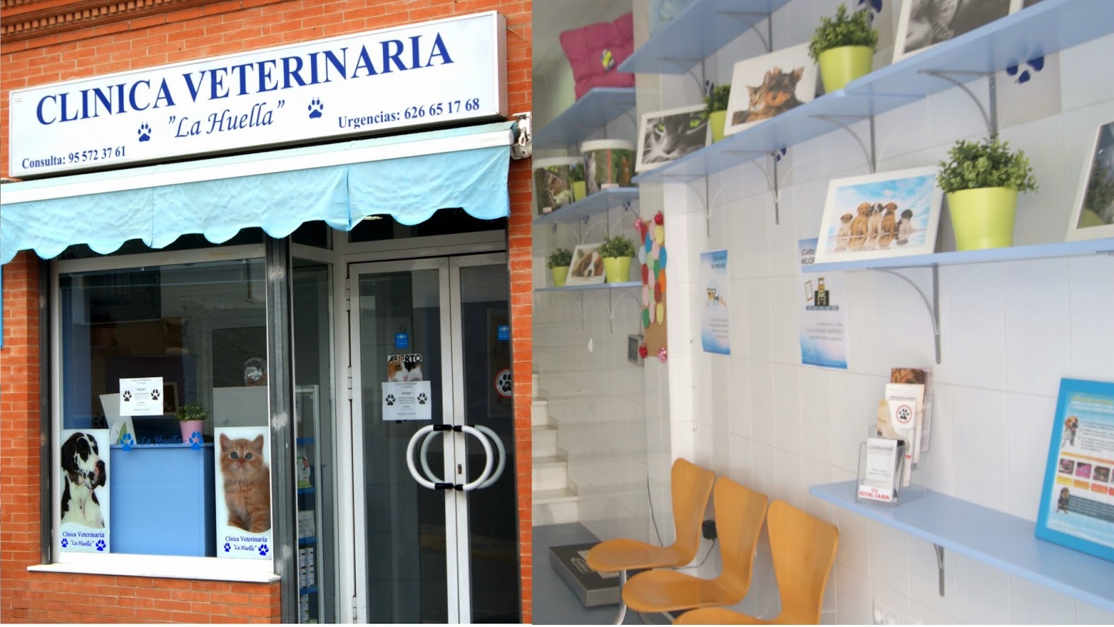 Clínica veterinaria Clinica Veterinaria La Huella (Bormujos)