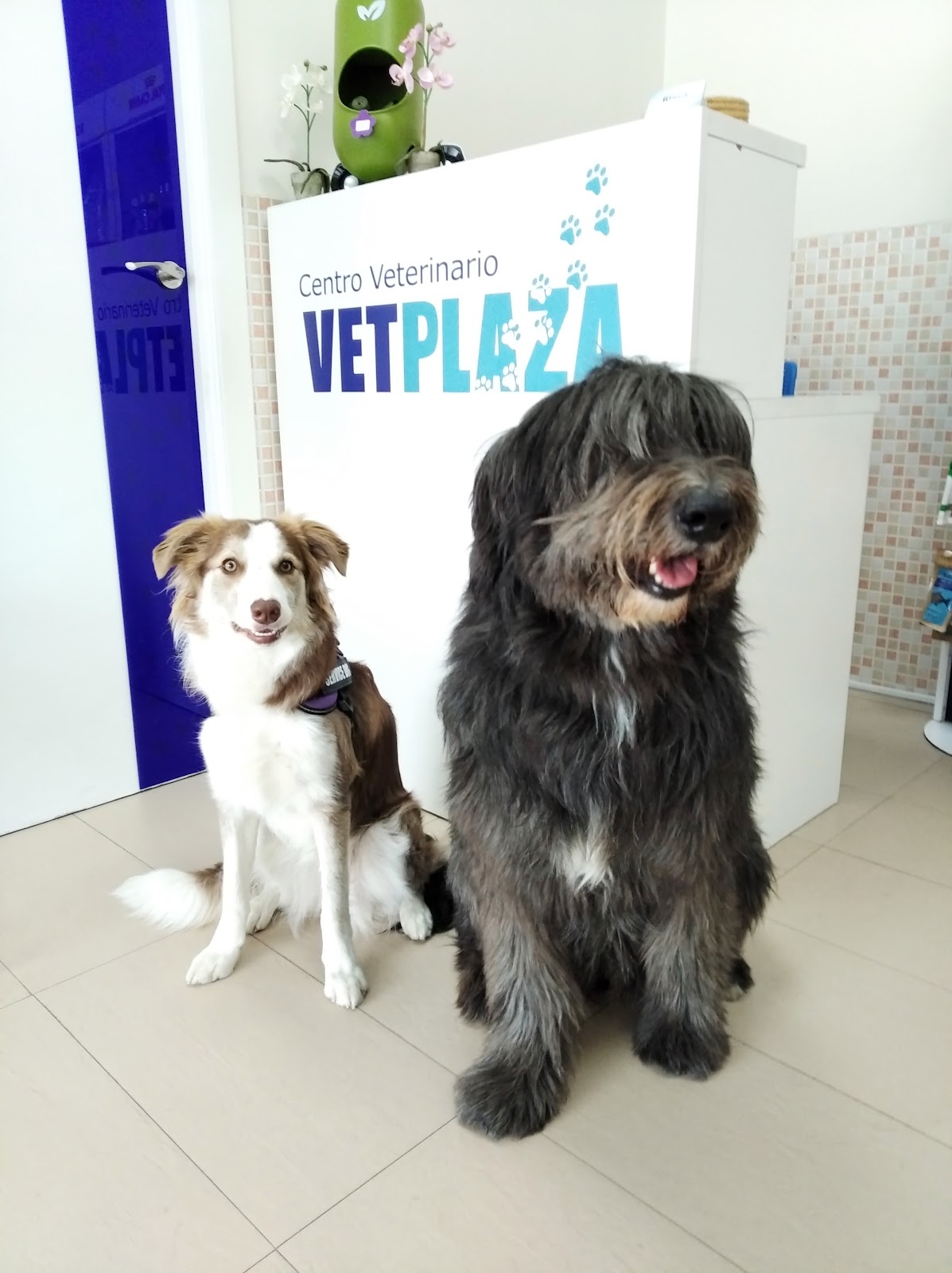 Clínica veterinaria Centro Veterinario VETPLAZA