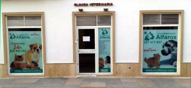 Clínica veterinaria CuidaVet España