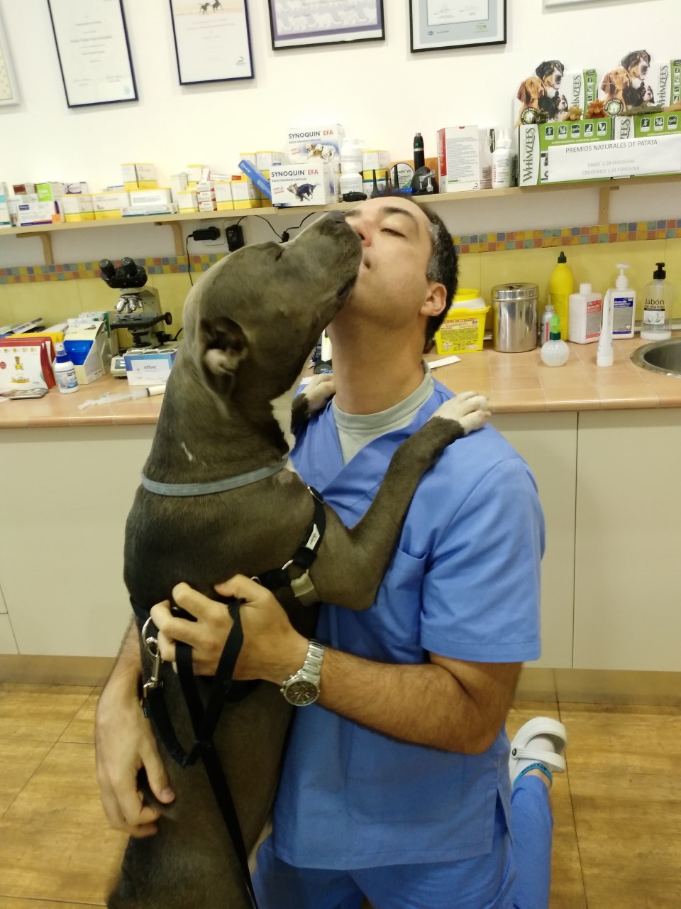 Clínica veterinaria Centro Veterinario Anivet