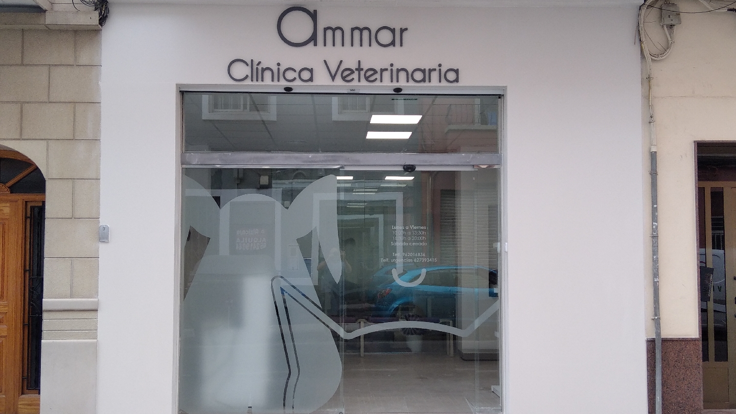 Clínica veterinaria Clínica Veterinaria Ammar