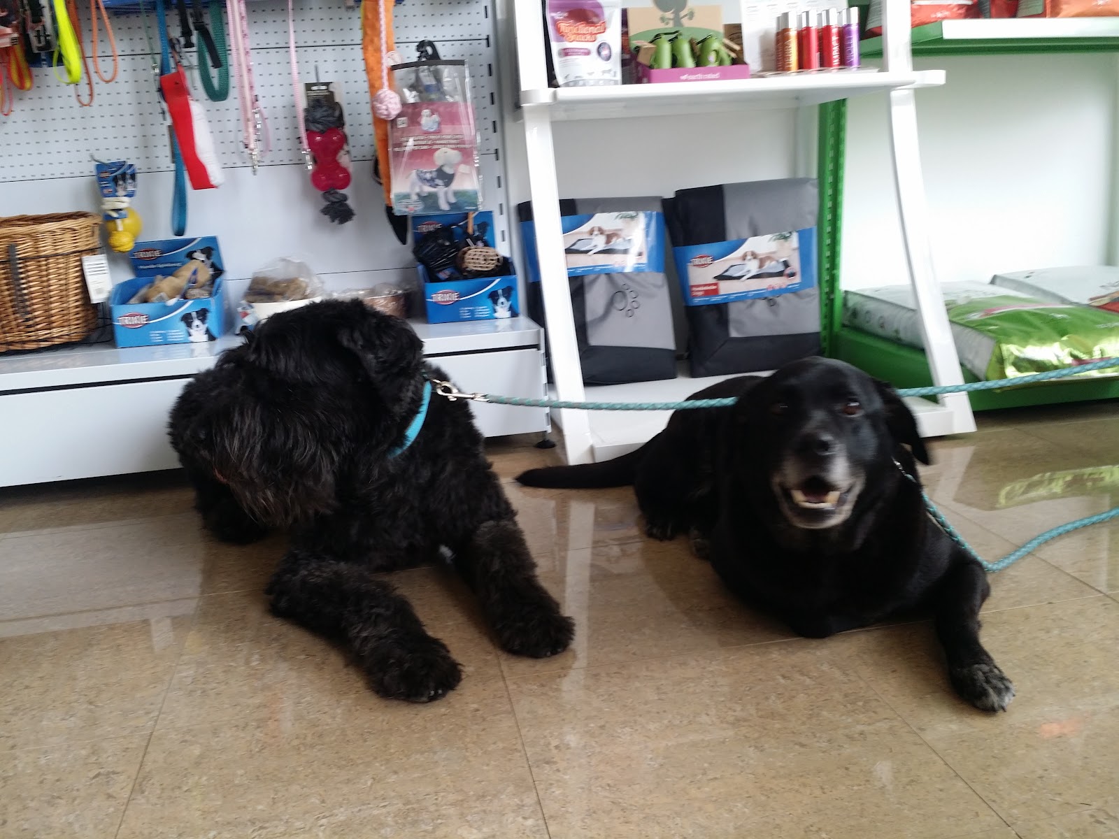 Clínica veterinaria Centro Veterinario Fel&Can